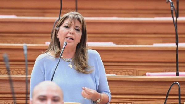 طلب إحاطة عاجل من البرلمان لمجلس الوزراء بسبب حديقة الزهرية بالزمالك