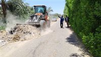 رئيس مدينة أرمنت يقود حملة لنظافة وتجميل الشوراع بالمركز غرب الأقصر.. صور