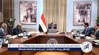 عاجل ـ مدبولي يكلف بعرض الصورة النهائية لمبادرة تشجيع تركيب الواح الطاقة الشمسية في المصانع والمنازل على مجلس الوزراء