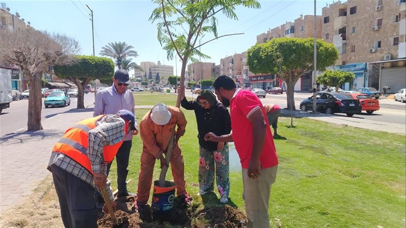 لإعادة المظهر الحضاري، خطة موسعة لزيادة الرقعة الخضراء بنطاق محافظة الإسماعيلية