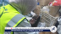ضبط ربع طن لحوم ودجاج غير صالحة للاستهلاك الآدمي بحي شرق سوهاج