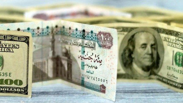 وصل لـ  51.95 جنيها .. أكبر سعر دولار في البنوك اليوم