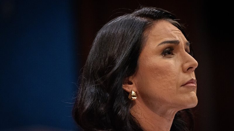 مديرة الاستخبارات الوطنية الأمريكية المستقيلة تولسي جابارد: واشنطن دعمت تجارب صينية مرتبطة بانتشار كورونا