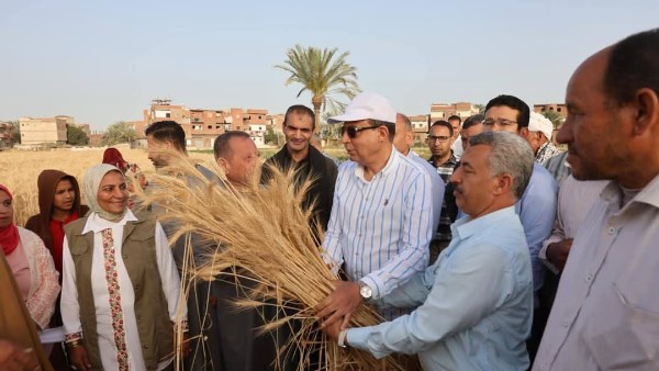 توريد 203 ألف و498 طن قمح من محصول الموسم الجديد لشون وصوامع الغربية