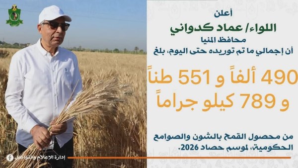 محافظ المنيا: توريد 490 ألف طن قمح بالشون والصوامع منذ بدء الموسم