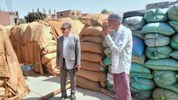 محافظ أسيوط: توريد 237 ألفًا و344 طنًا من القمح منذ انطلاق الموسم