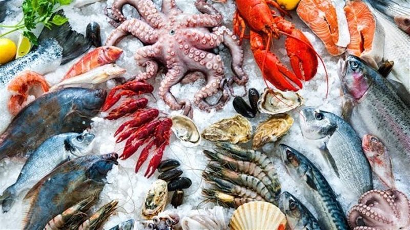 أسعار السمك اليوم، البلطي دون الـ 70 جنيها وقفزة غير مسبوقة في المكرونة السويسي