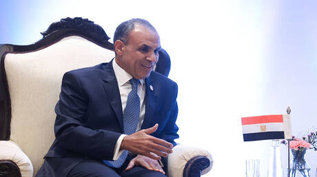 وزير الخارجية المصري: القاهرة تستكمل خطط إصدار سندات الساموراي