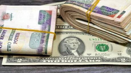 الدولار يشعل الجدل في مصر.. وخبير يفجر مفاجأة لـRT بشأن “السعر العادل”