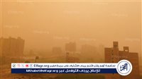عاصفة ترابية تضرب الفيوم وأمطار خفيفة على عدد من المراكز.. انخفاض في مستوى الرؤية بسبب الأتربة