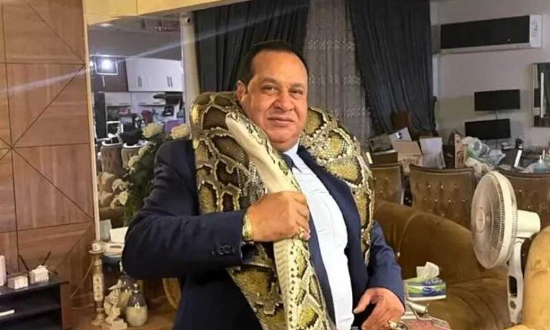 عاجل.. ما حقيقة القبض على صبري نخنوخ في القاهرة الجديدة؟