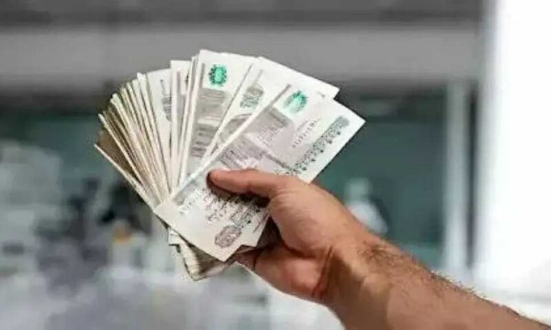 سعر الفائدة اليوم في مصر.. تفاصيل العائد على شهادة 17.25% من البنك الأهلي