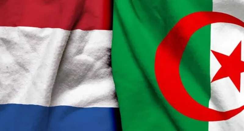 رابط يلا شوت..بث مباشر مشاهدة مباراة الجزائر وهولندا الأسطورة اليوم ودياً استعداداً لكأس العالم 2026 بدون تشويش وبجودة عالية HD