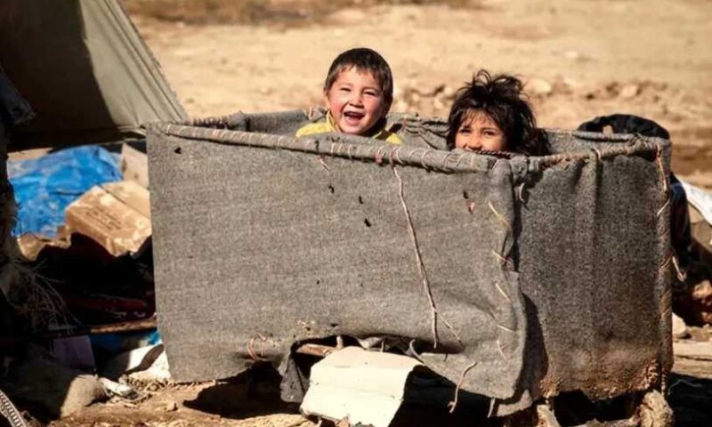 في اليوم الدولي لضحايا العدوان على الأطفال.. وزارة الأوقاف تؤكد: الإسلام يحرّم المساس بالأطفال