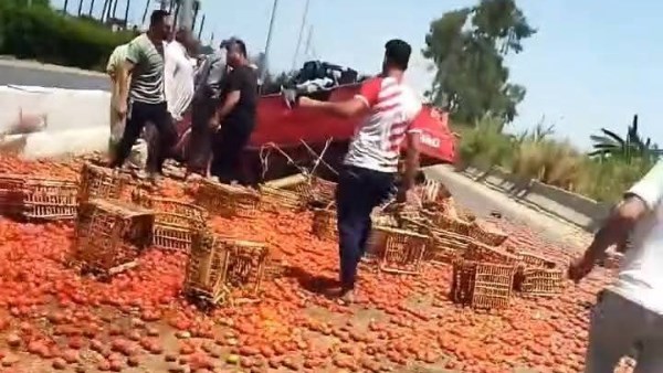 السرعة الزائدة.. تعطل حركة الطريق الزراعي”طنطا -كفر الزيات ” بسبب انقلاب سيارة محملة بالطماطم