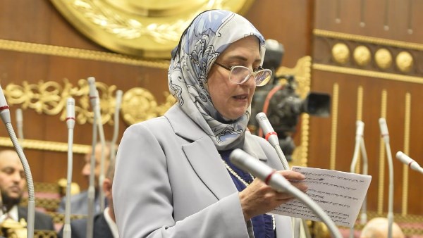 برلمانية تعلن موافقتها على خطة التنمية 2026/2027 وتؤكد أهمية دعم الاستثمار والحماية الاجتماعية