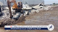إزالة 12 حالة تعدٍّ على الأراضي الزراعية وأملاك الدولة في الغربية