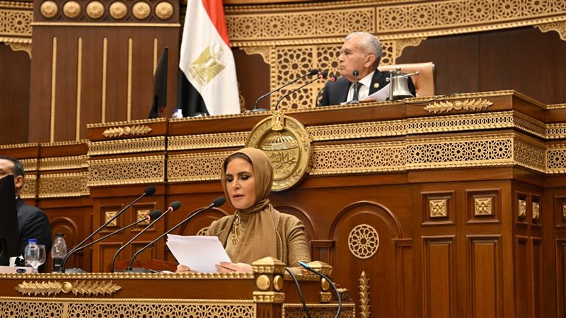 مجلس الشيوخ: قانون الشركات الحالي لا يواكب التحول الرقمي ومتطلبات السوق