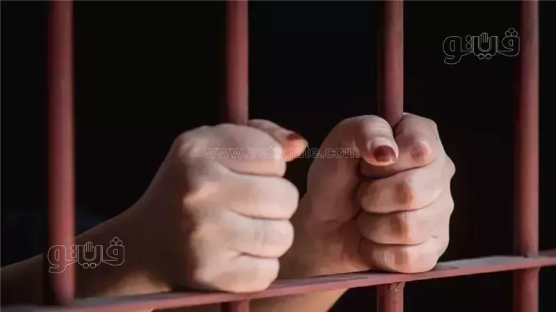 غدا، محاكمة المتهمة بخطف رضيعة مستشفى الحسين