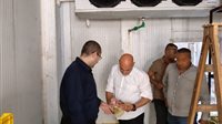 ضبط 2 طن دواجن ولحوم غير صالحة للاستهلاك في العبور
