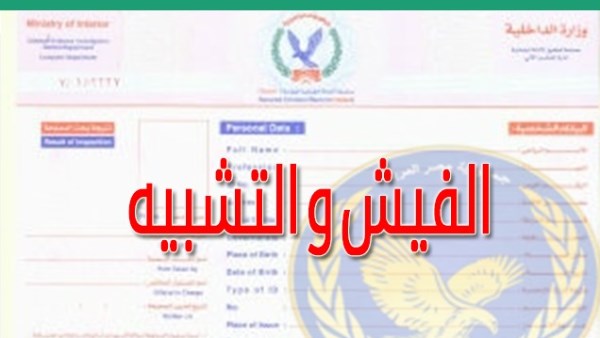 استخراج فيش وتشبيه في نفس اليوم.. الأماكن والأسعار