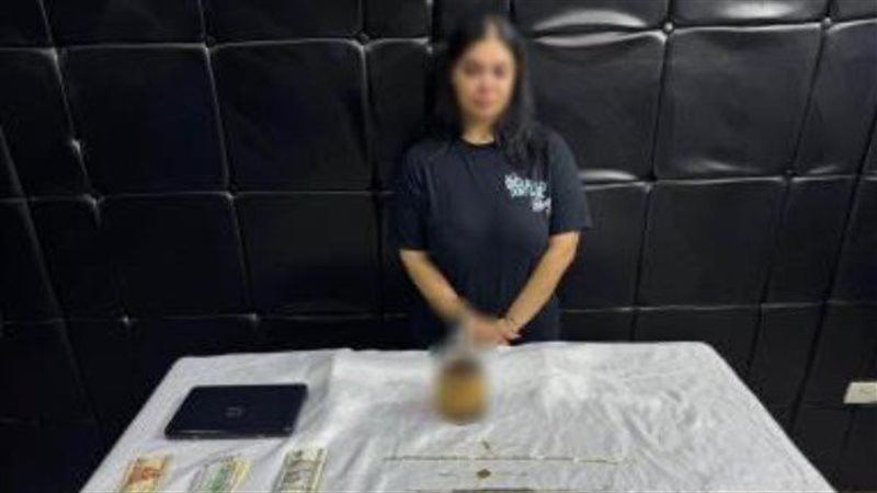 اليوم، نظر استئناف البلوجر نرمين طارق على حكم حبسها 6 أشهر بتهمة نشر محتوى خادش