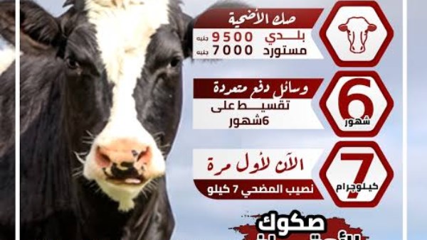 غدًا.. انطلاق المرحلة الأولى لتوزيع أنصبة المضحين مع الأوقاف في مشروع الصكوك