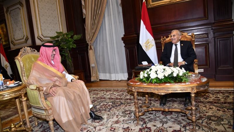 رئيس الشيوخ للسفير السعودي: أمن الخليج جزء لا يتجزأ من الأمن القومي المصري