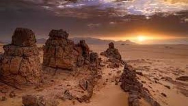 مصرع حوالي 50 مواطنا من النيجر عطشا في الصحراء الكبرى بالقرب من الجزائر