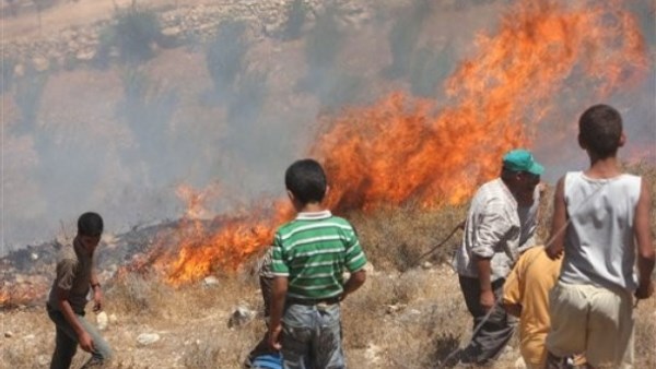 جيش الاحتلال يحرق مساحات واسعة من أراضي المواطنين شمال شرقي مخيم البريج