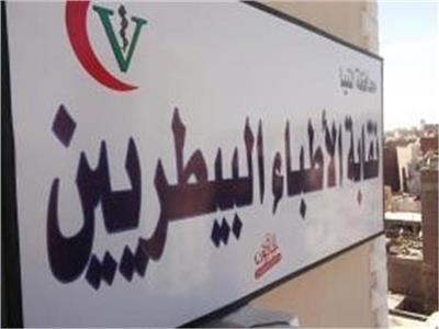 البيطريين توضح حقيقة سنة الامتياز.. وتؤكد: جميع الخيارات مطروحة