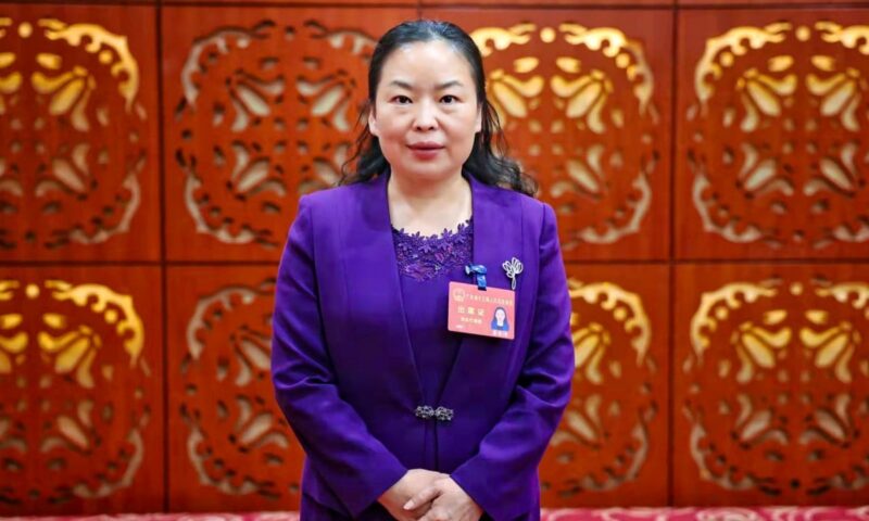 Beijing appoints Yuan Gujie as deputy director of Hong Kong liaison office