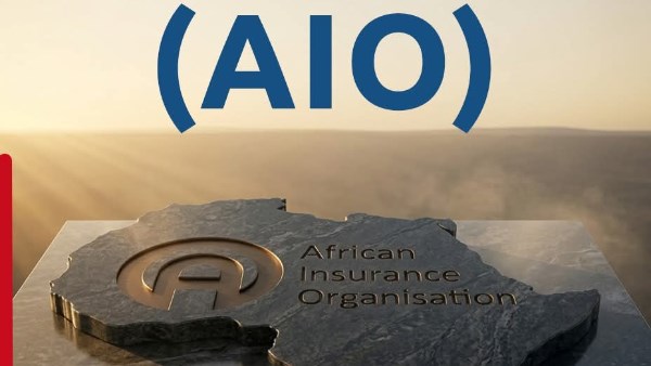 ما هي منظمة التأمين الإفريقية AIO؟ مصر تقود دورة جديدة من التطوير في إفريقيا
