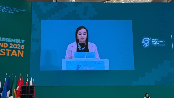 وزيرة البيئة: الدول النامية تحتاج للدعم للوفاء بالتزاماتها لمواجهة التحديات البيئية