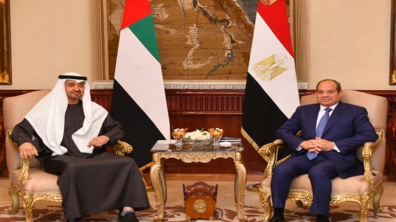 السيسي يستقبل رئيس الإمارات بقصر الاتحادية (فيديو)