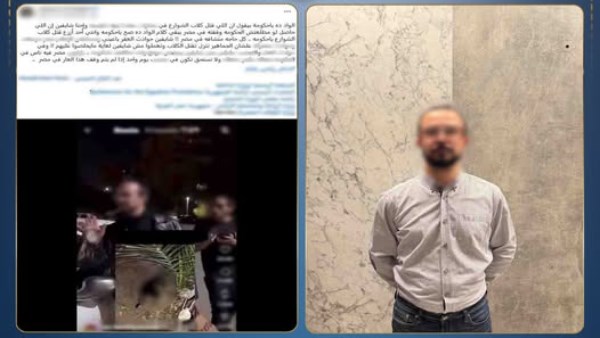 ضبط مدير شركة في تسميم الكلاب الضالة بتجمع سكني بمدينة نصر