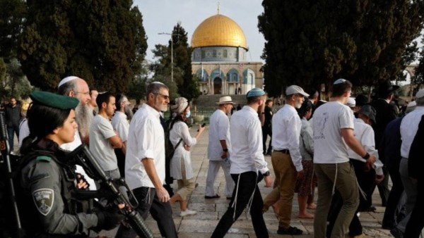 “الأوقاف” الفلسطينية : 23 اقتحاما للأقصى ومنع رفع الأذان في الحرم الإبراهيمي 74 وقتا خلال مايو