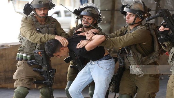 الاحتلال يعتقل 13 فلسطينيا في مناطق متفرقة بالضفة الغربية