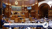 نواب الشيوخ: خطة التنمية 2026/2027 تحتاج ضمانات تنفيذ واضحة في ظل التحديات الجيوسياسية الإقليمية