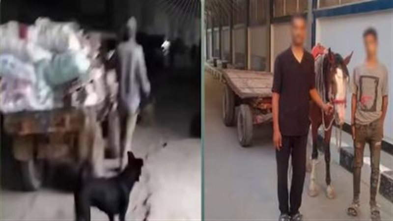 الأمن يكشف ملابسات فيديو إلقاء مخلفات بالمرج.. ضبط المتهمين والتحفظ على عربة الكارو