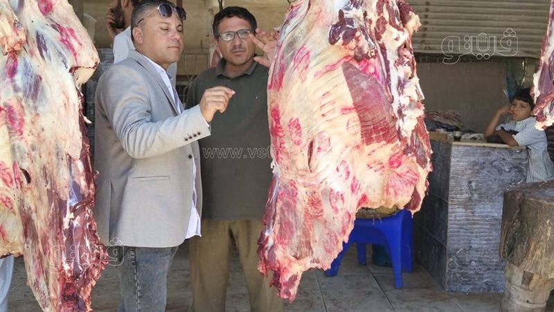 حملة موسعة بمدينة الحمام لضبط الأسواق ورفع الإشغالات والتأكد من جودة السلع الغذائية