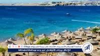 أجمل 4 شواطئ مصرية لإجازة لا تُنسى.. اختار وجهتك حسب مزاجك الصيفي