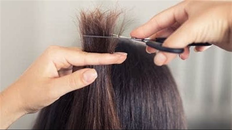 خلطة الزيوت الطبيعية لتحسين مظهر أطراف الشعر