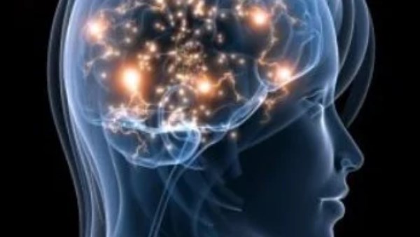 دليلك لكافة أنواع الهرمونات التي تدير وظائف الجسم