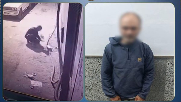 القبض على عاطل سرق «كابل كهربائي» من ورشة نجارة في الجيزة