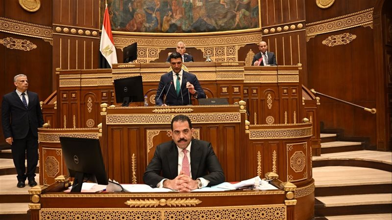 وزير الصناعة أمام الشيوخ: القطاع على رأس أولويات التنمية في المرحلة الحالية