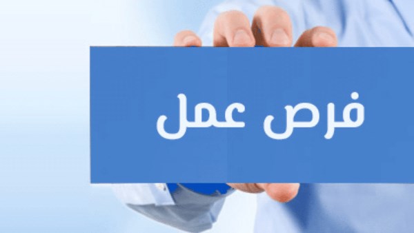 1130 دولاراً مرتب | الحكومة تعلن عن 48 فرصة عمل بالخارج.. شروط ورابط التقديم