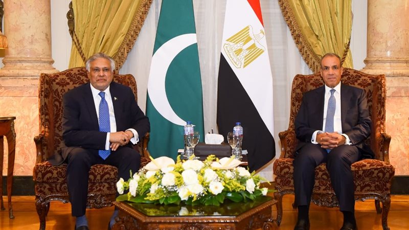 تفاصيل لقاء وزير الخارجية مع نظيره الباكستاني (صور)