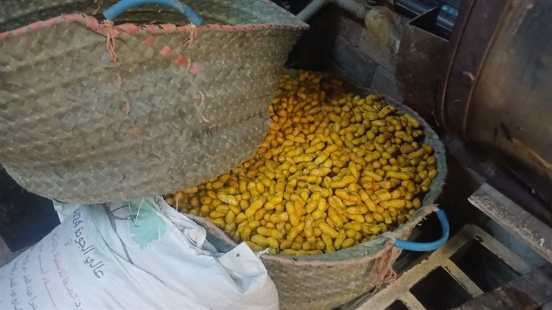 ضبط مواد محظور استخدامها في تلوين الأغذية داخل مقلة بأسيوط