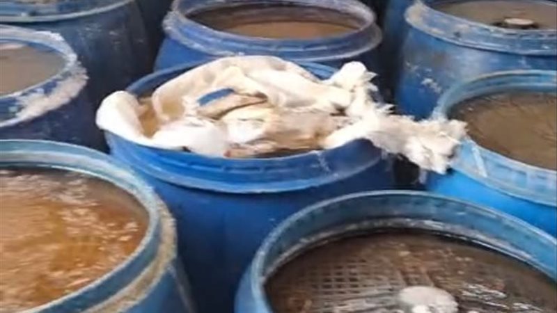 ضبط معمل مخلل غير مرخص خلال حملة رقابية في الإسماعيلية (صور)